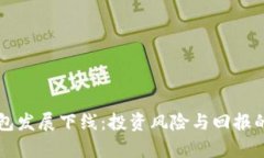 虚拟币钱包发展下线：投资风险与回报的全面分